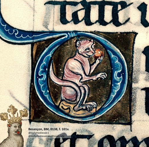 Picture from a medieval manuscript: A happy looking cat eating a snack
