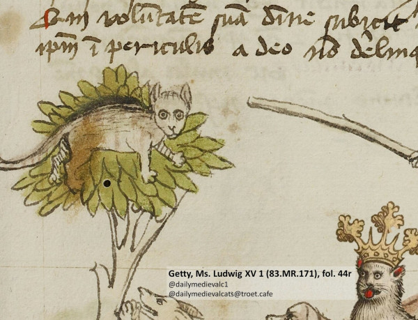 Picture from a medieval manuscript: A Cat on a tree being attacked by a stick