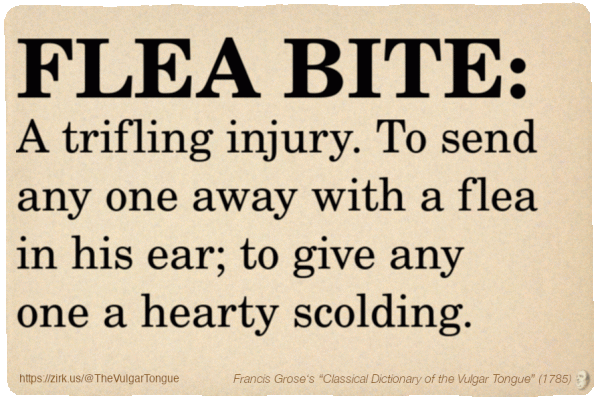 Image imitating a page from an old document, text (as in main toot):

FLEA BITE. A trifling injury. To send any one away with a flea in his ear; to give any one a hearty scolding.

A selection from Francis Grose’s “Dictionary Of The Vulgar Tongue” (1785)