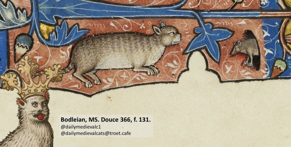 Picture from a medieval manuscript: Fat brown cat looks at a mouse