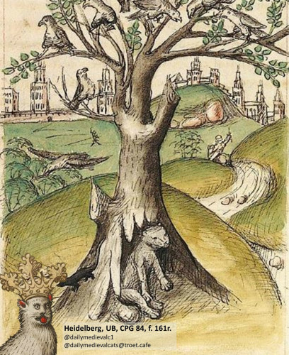 Picture from a medieval manuscript: A cat hides in a hollow tree