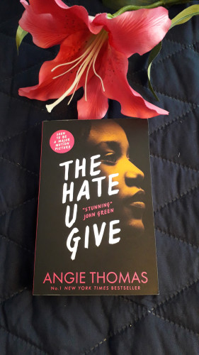 The cover of The Hate U Give by Angie Thomas, shows the profile of a African American Teen. Title in White large font. Her face softly illuminated, contrasting with the black background.