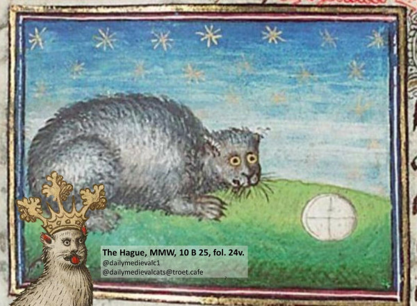 Picture from a medieval manuscript: A cat and a ball.