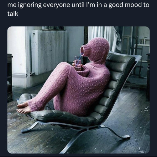 Text: me ignoring everyone until I'm in a good mood to talk.
Picture of woman in gigantic sweater covering her entire face and body