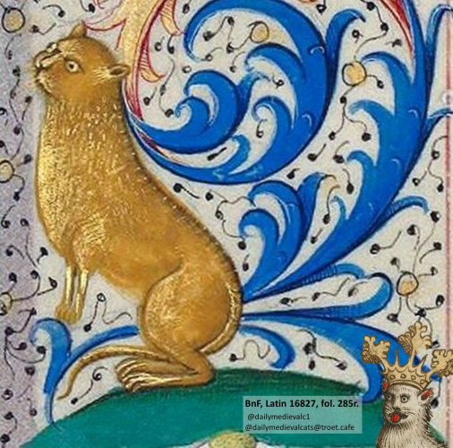 Picture from a medieval manuscript: An image of a golden cat