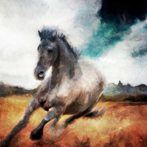 Painting of a galloping horse as seen from the front. It's running through a field of yellow grass, in the distance are trees and mountains and the sky overhead has white clouds to the left and right, and in the middle it's a deep, bright blue.