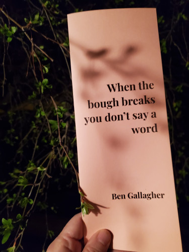 Opaat Press poetry pamphlet When the bough breaks you don't say a word by Ben Gallagher is held up in the darkness against newly budding cherry tree branches, which cast interesting shadows on the cover of the pamphlet