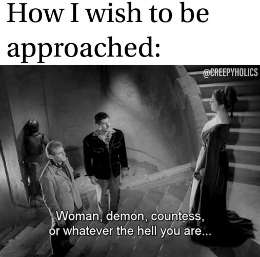 "How I wish to be approached:"
With a picture of a woman at the top of a staircase with people walking towards her from the bottom of it and the text:
"Woman, demon, countess, or whatever the hell you are..."
