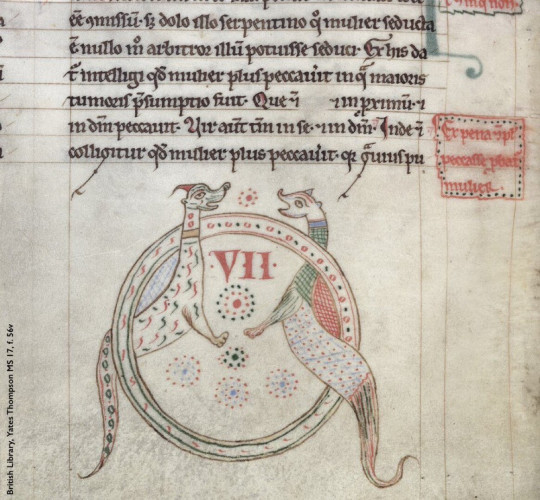 Photo of part of a leaf from a medieval manuscript: folio 56 verso in British Library, Yates Thompson manuscript 17. At top of the image, 6 lines of Latin text in black ink with touches of red. Below this, a pen-and-ink drawing of a round hoop or ring ornamented with abstract shapes in black and red. Within it sits a large, red ink Roman numeral 7, plus a few dotted patterns. Around the ring wind what appear to be 2 wingless, 2-legged dragons or wyverns. The left creature is pale with green and red squiggles along its body, and a tail marked by red and black spots. Its companion’s body bears periwinkle blue crosshatching interspersed with red dots, while its neck is crosshatched dark green. The beasts face each another, open-mouthed, appearing to smile. 
