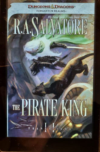 Cover Buch 2 Pirate King