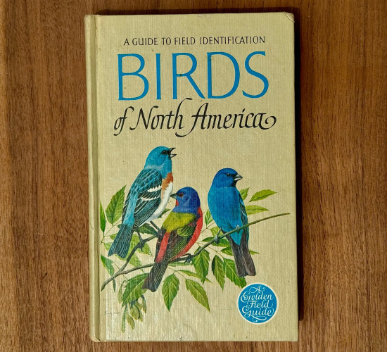 Picture I took of my copy of the book. It’s a small tan hardcover with blue and black font. There are three different colorful, blue birds resting on a green branch of leaves.