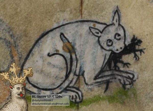 Picture from a medieval manuscript: A white cat with a mouse in its mouth.