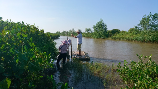 Three people standing on and around a small raft in a muddy shrimp farm pond in Vietnam, surrounded by mangrove trees, with clear blue sky overhead
