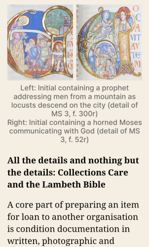 Two decorations and illuminations from The Lambeth Bible.

Subtitle reads All the details and nothing but the details.