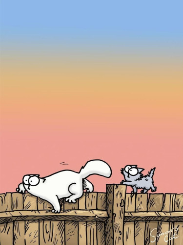 A white cartoon cat is crawling along a fence, followed by a scryfft grey kitten.
