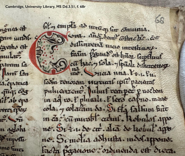 The top right corner of a parchment leaf in a medieval book: folio 68 recto in Cambridge, University Library, manuscript Dd.3.51. 14 lines of Latin text arranged in 2 columns, showing only the final dozen letters of the left column, but the full width of the right column. The text is copied in black ink with majuscules heightened by thin strokes of red ink, on faintly buckling parchment. In the right column, lines 2 to 6 of the text have been indented to create space for addition of an enlarged decorative initial ‘C’. Elegantly formed, the letter is drawn in red ink, with a slender band, terminating in leafy forms, traced along the inside edge of its hollow bowl in deep plum verging on black. Within and around the tracery are scattered clusters of 3 tiny dots in vermilion and pistachio. 