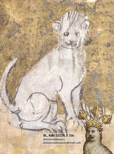 Picture from a medieval manuscript: A white cat (Tibert)