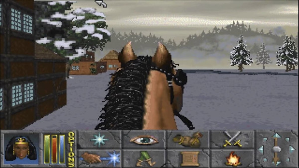 Low res horse 