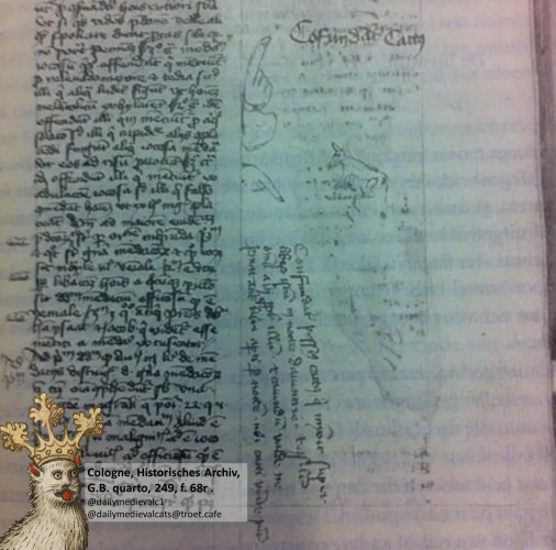 Leave from a medieval manuscript with the above translated sentences and a picture of a cat peeing