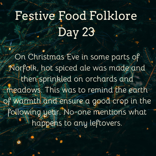 Festive Food Folklore - Day 22

On Christmas Eve in some parts of Norfolk, hot spiced ale was made and then sprinkled on orchards and meadows. This was to remind the earth of warmth and ensure a good crop in the following year. No-one mentions what happens to any leftovers.

Cream text against a background of lights on Christmas tree branches.