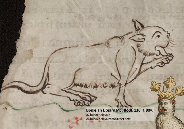 Picture from a medieval manuscript: A cat looks surprised