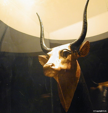 Egyptian sculpture of a cow with black horns and neck but a golden face.