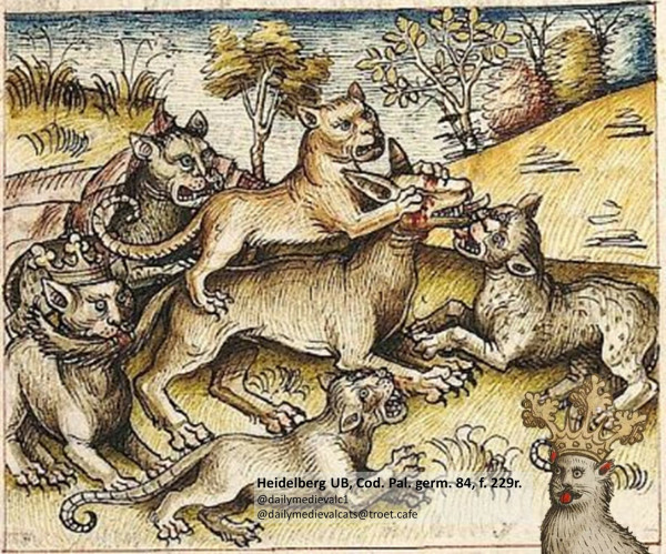 Picture from a medieval manuscript: The cat king (crowned with a scepter) and four cats attack a wolf