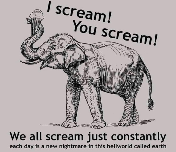 Illustration of an elephant holding an ice cream cone with the text
"I scream!
You scream!
We all scream just constantly
each day is a new nightmare in this hellworld called earth"
